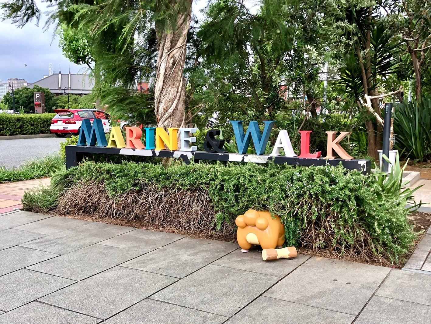 【分享】WCS2023 宝可梦卡牌 ART WALK in 横滨未来港
