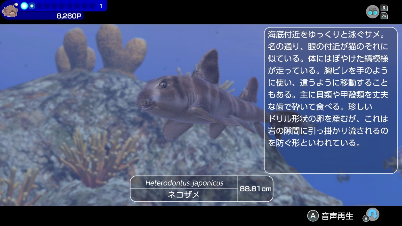 潜水冒险游戏《永恒蔚蓝 流光》介绍可与海中生物进行的接触